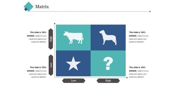 Matrix Ppt PowerPoint Presentation Outline Layout Ideas