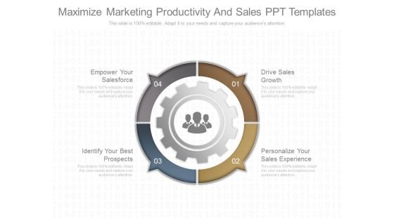 Maximize Marketing Productivity And Sales Ppt Templates