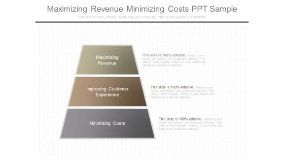 Maximizing Revenue Minimizing Costs Ppt Sample Maximizing Revenue Minimizing Costs Ppt Sample