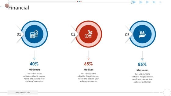 Mckinsey 7S Strategy Model For Project Management Financial Demonstration PDF