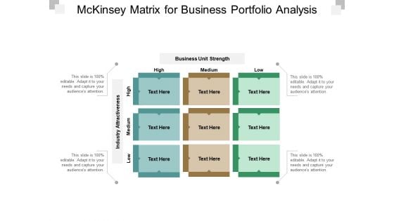 Mckinsey Matrix For Business Portfolio Analysis Ppt PowerPoint Presentation Outline Rules