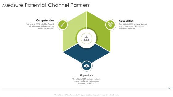 Measure Potential Channel Partners Capacities Organizational Strategies And Promotion Techniques Infographics PDF