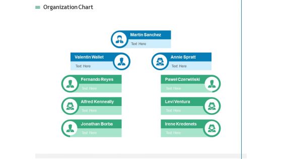 Measuring Influencer Marketing ROI Organization Chart Ppt Portfolio Inspiration PDF