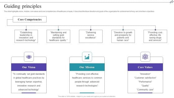 Medical Care Company Overview Guiding Principles Elements PDF