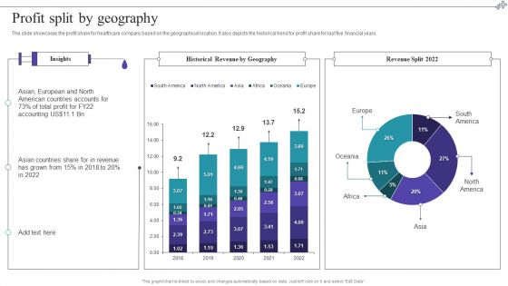 Medical Care Company Overview Profit Split By Geography Inspiration PDF