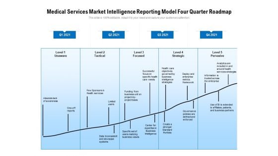 Medical Services Market Intelligence Reporting Model Four Quarter Roadmap Guidelines