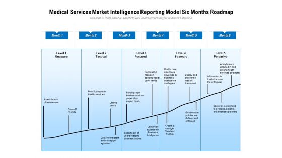 Medical Services Market Intelligence Reporting Model Six Months Roadmap Diagrams