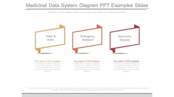 Medicinal Data System Diagram Ppt Examples Slides