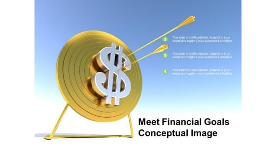 Meet Financial Goals Conceptual Image Ppt PowerPoint Presentation Professional Grid