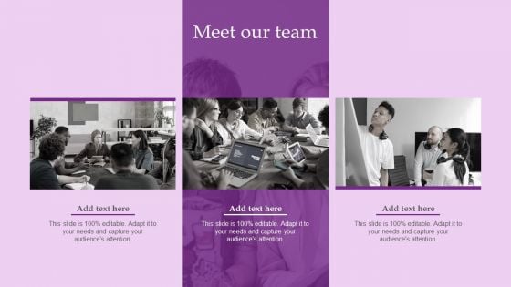 Meet Our Team Brand And Equity Evaluation Techniques And Procedures Slides PDF