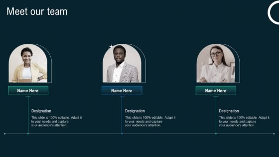 Meet Our Team Business Application Development Playbook Download PDF