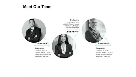 Meet Our Team Communication Ppt PowerPoint Presentation Professional Slideshow