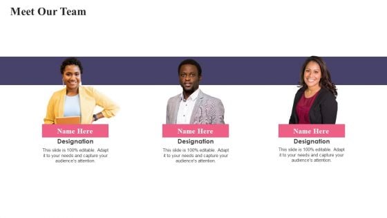 Meet Our Team Comprehensive Guide To Acquire Customers For Startups Summary PDF Meet Our Team Comprehensive Guide To Acquire Customers For Startups Summary PDF