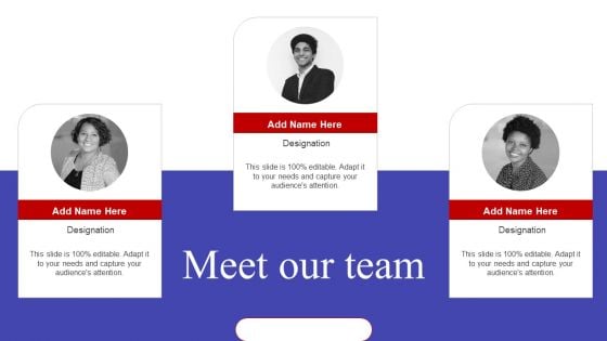 Meet Our Team Implementing Sales Optimization Techniques To Boost Ecommerce Web Conversion Rate Inspiration PDF