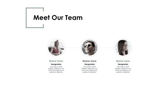 Meet Our Team Introduction Communication Ppt PowerPoint Presentation Pictures Infographics