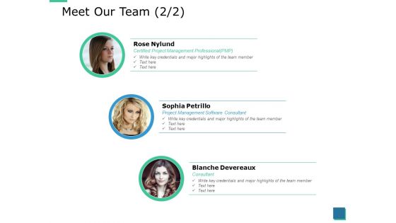 Meet Our Team Planning Ppt PowerPoint Presentation Gallery Layouts