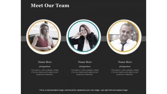 Meet Our Team Ppt PowerPoint Presentation Ideas Infographic Template