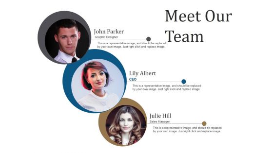 Meet Our Team Ppt PowerPoint Presentation Infographics Templates