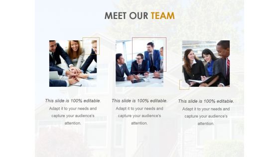 Meet Our Team Ppt PowerPoint Presentation Inspiration Infographic Template