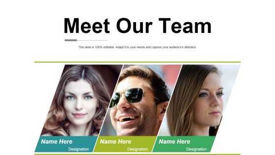 Meet Our Team Ppt PowerPoint Presentation Portfolio Gallery