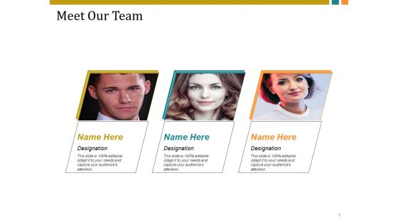 Meet Our Team Ppt PowerPoint Presentation Portfolio Graphics Template