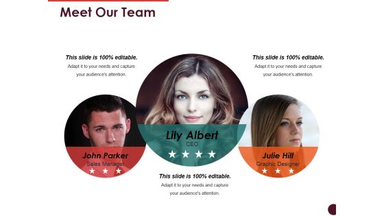 Meet Our Team Ppt PowerPoint Presentation Styles File Formats Meet Our Team Ppt PowerPoint Presentation Styles File Formats