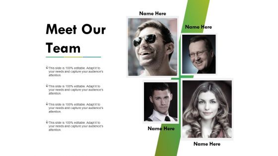 Meet Our Team Ppt PowerPoint Presentation Summary Good