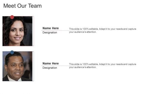 Meet Our Team Ppt Slides Examples PDF Meet Our Team Ppt Slides Examples PDF