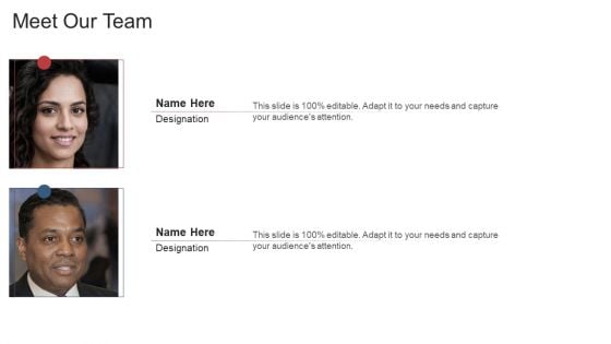 Meet Our Team Ppt Slides Examples PDF