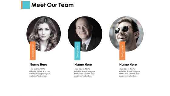 Meet Our Team Sample Budget Ppt Ppt PowerPoint Presentation Infographic Template Show