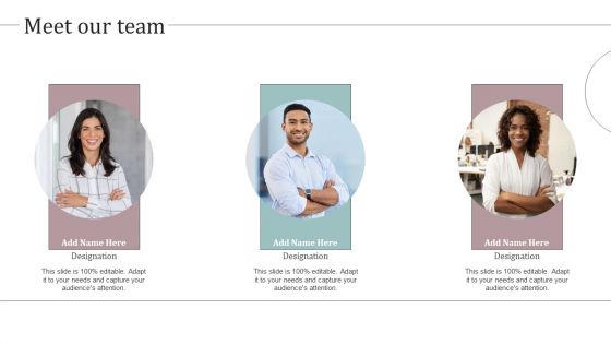 Meet Our Team Ultimate Guide To Develop Personal Branding Strategy Designs PDF