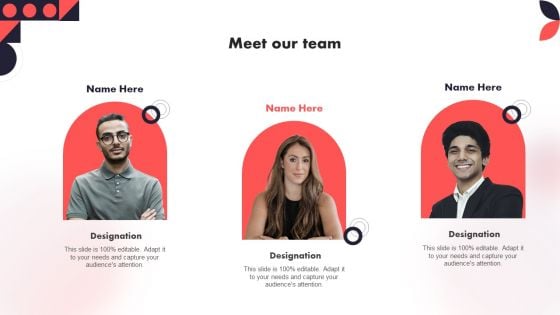 Meet Our Team Year Over Year Business Success Playbook Infographics PDF Meet Our Team Year Over Year Business Success Playbook Infographics PDF