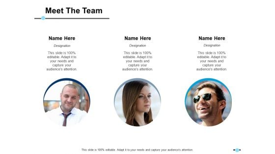 Meet The Team Communication Teamwork Ppt PowerPoint Presentation Outline Model