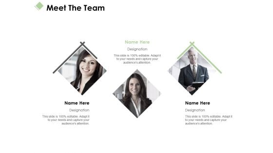 Meet The Team Ppt PowerPoint Presentation Layouts Graphics