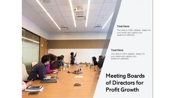 Meeting Boards Of Directors For Profit Growth Ppt PowerPoint Presentation File Template PDF