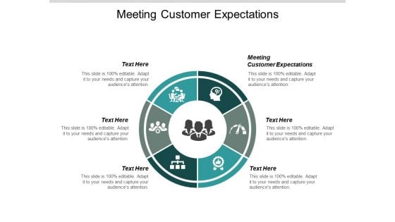 Meeting Customer Expectations Ppt PowerPoint Presentation Layouts Example Cpb