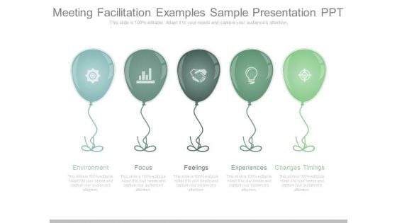 Meeting Facilitation Examples Sample Presentation Ppt