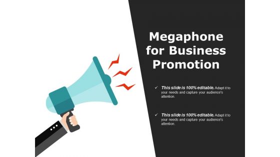 Megaphone For Business Promotion Ppt PowerPoint Presentation Visual Aids Infographics