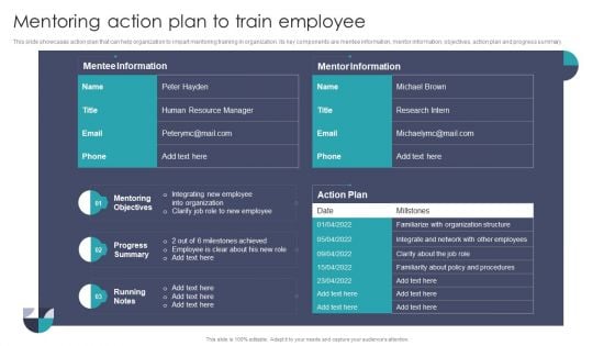 Mentoring Action Plan To Train Employee Summary PDF