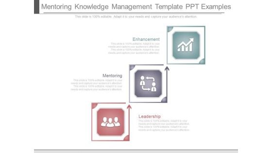 Mentoring Knowledge Management Template Ppt Examples