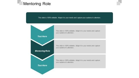 Mentoring Role Ppt PowerPoint Presentation Styles Graphic Tips Cpb