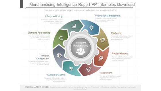 Merchandising Intelligence Report Ppt Samples Download