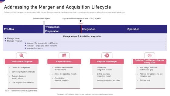 Mergers Acquisition Playbook Mergers Acquisition Playbook Addressing The Merger Elements PDF