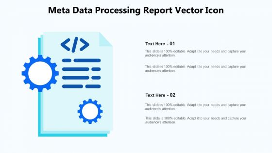 Meta Data Processing Report Vector Icon Ppt PowerPoint Presentation Gallery Summary PDF