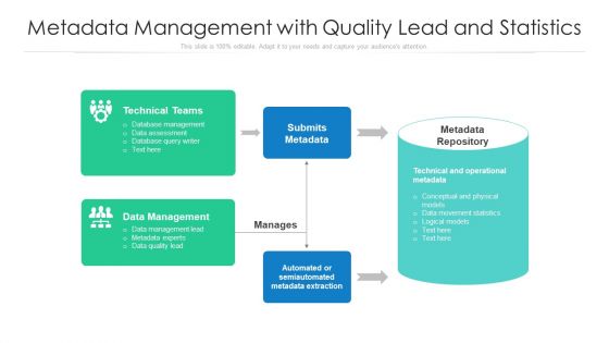 Metadata Management With Quality Lead And Statistics Ppt PowerPoint Presentation File Structure PDF