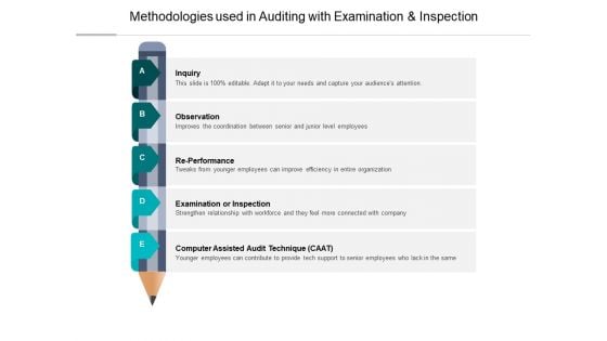 Methodologies Used In Auditing With Examination And Inspection Ppt PowerPoint Presentation Infographics Design Inspiration