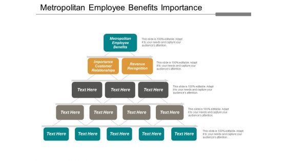 Metropolitan Employee Benefits Importance Customer Relationships Revenue Recognition Ppt PowerPoint Presentation Inspiration Layouts