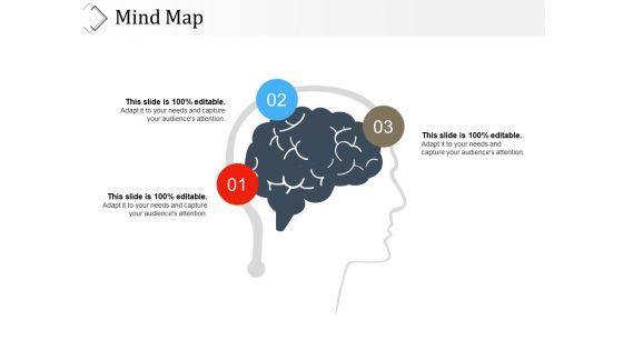 Mind Map Ppt PowerPoint Presentation Styles Summary