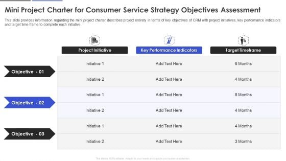 Mini Project Charter For Consumer Service Strategy Objectives Assessment Themes PDF