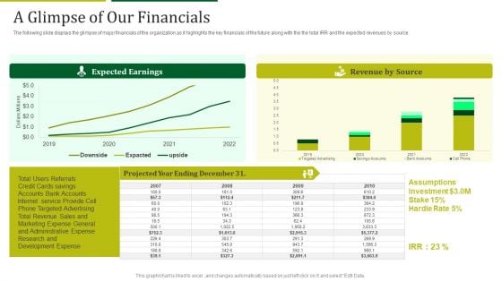 Mint Investor Capital Raising A Glimpse Of Our Financials Ppt Summary Objects PDF